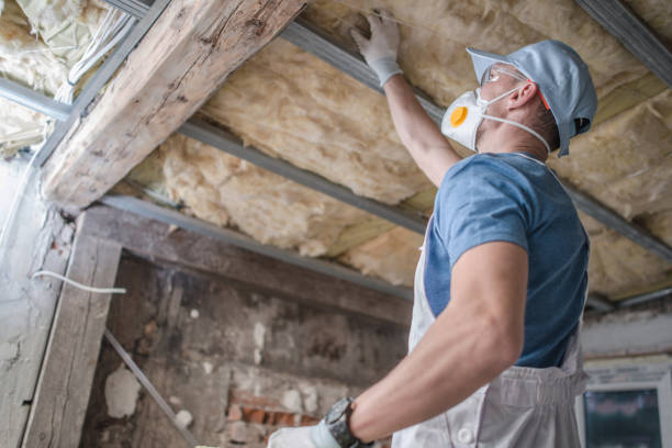 Best Insulation Maintenance and Repair in Corning, IA